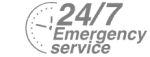 24/7 Emergency Service Pest Control in Headley, KT18. Call Now! 020 8166 9746