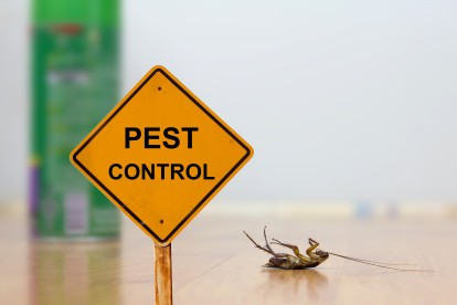 Pest Contol in Headley, KT18. Call Now 020 8166 9746